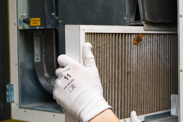 Best Affordable Air Duct Cleaning  in Lake Mary, FL