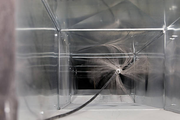 Air Duct Mold Removal in Lake Mary, FL