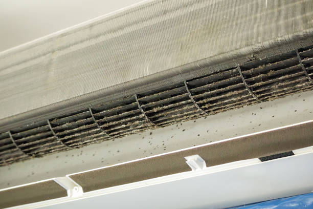 Best Air Quality Test  in Lake Mary, FL