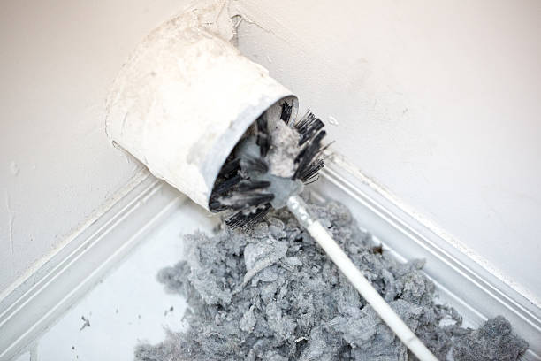 Best Affordable Duct Cleaning Services  in Lake Mary, FL